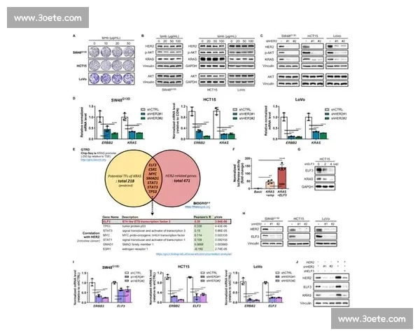基于技术统计的数据驱动分析与决策优化研究路径方法与实践探索